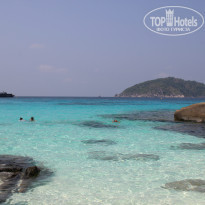 фото из отзыва ID 915595