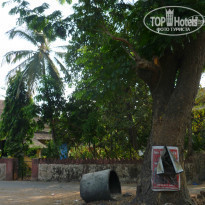 фото из отзыва ID 915635