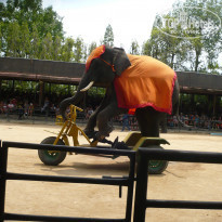 фото из отзыва ID 915719