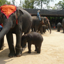 фото из отзыва ID 915719