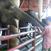 фото из отзыва ID 915719