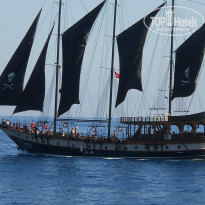 фото из отзыва ID 915756