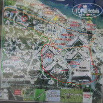 фото из отзыва ID 915824