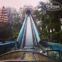 фото из отзыва ID 915836