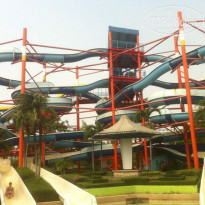 фото из отзыва ID 915836