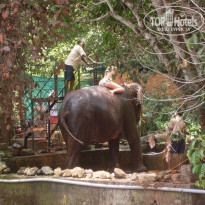 фото из отзыва ID 915940