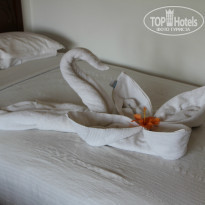 фото из отзыва ID 915994