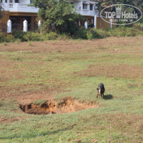 фото из отзыва ID 915994