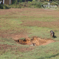 фото из отзыва ID 915994