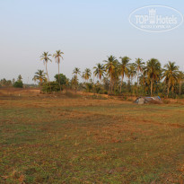 фото из отзыва ID 915994