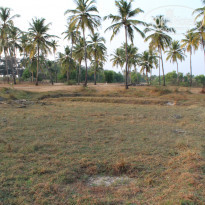 фото из отзыва ID 915994