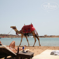 фото из отзыва ID 915230