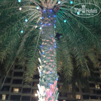 фото из отзыва ID 915463