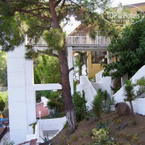 фото из отзыва ID 91625