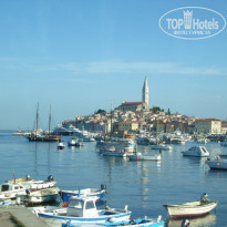 фото из отзыва ID 91641