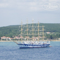 фото из отзыва ID 91641