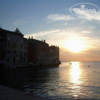 фото из отзыва ID 91641