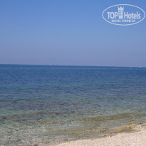 фото из отзыва ID 91641