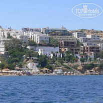 фото из отзыва ID 91648