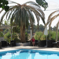 фото из отзыва ID 916011