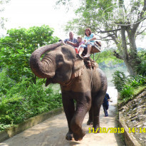 фото из отзыва ID 916055