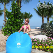 фото из отзыва ID 916055