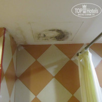 фото из отзыва ID 916063