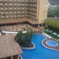 фото из отзыва ID 916087