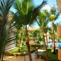 фото из отзыва ID 916266