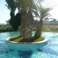 фото из отзыва ID 916497