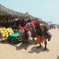 фото из отзыва ID 916511