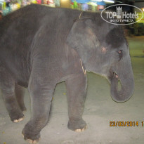 фото из отзыва ID 916540