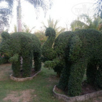 фото из отзыва ID 916750