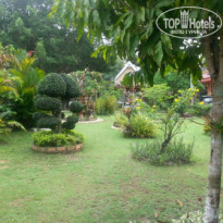 фото из отзыва ID 916750