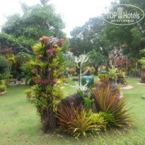 фото из отзыва ID 916750