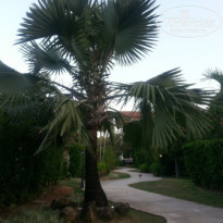 фото из отзыва ID 916750