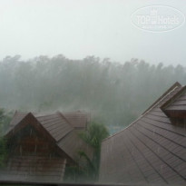 фото из отзыва ID 916750