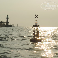 фото из отзыва ID 916864