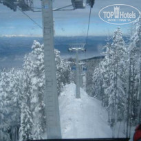 фото из отзыва ID 916934