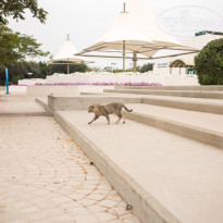 фото из отзыва ID 917090