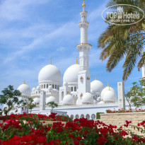 фото из отзыва ID 917090