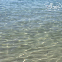 фото из отзыва ID 917163