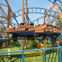 фото из отзыва ID 917213