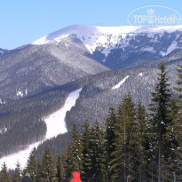 фото из отзыва ID 917247