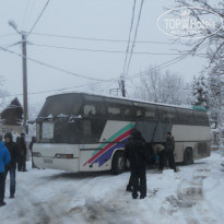 фото из отзыва ID 917247