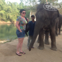 фото из отзыва ID 917322