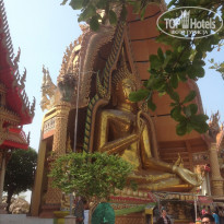 фото из отзыва ID 917322