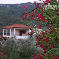 фото из отзыва ID 917475