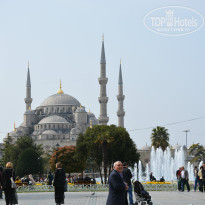 фото из отзыва ID 917701