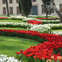 фото из отзыва ID 917701